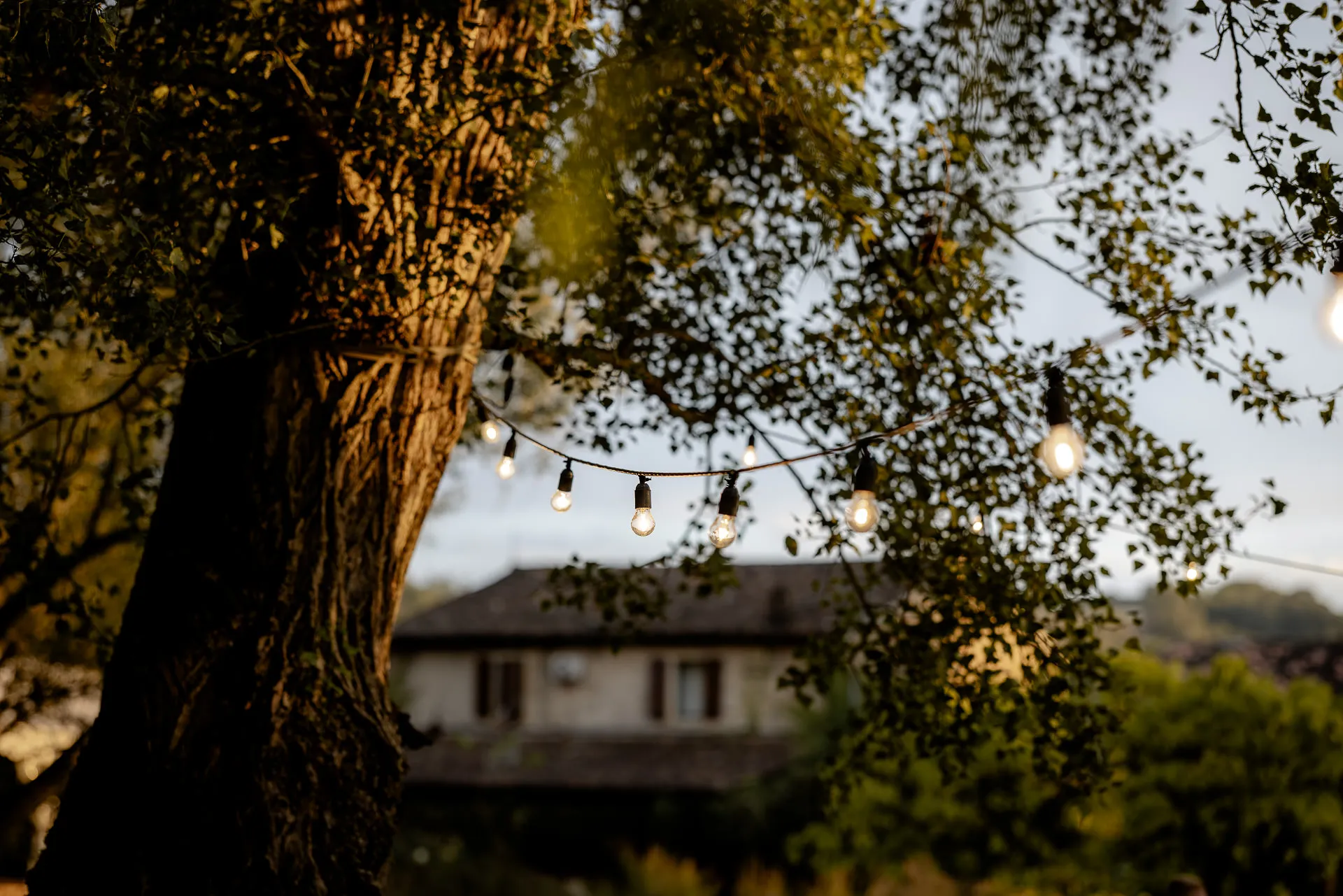 Lichterketten in Bäumen bei goldener Abenddämmerung an italienischer Location